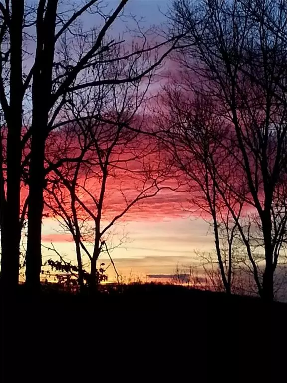 Jasper, GA 30143,LT222 Little Hendricks Mountain RD