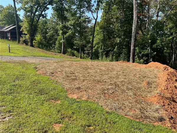 Ellijay, GA 30540,148 Jakes Landing WAY S