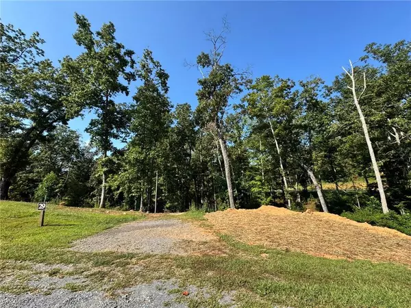 Ellijay, GA 30540,148 Jakes Landing WAY S