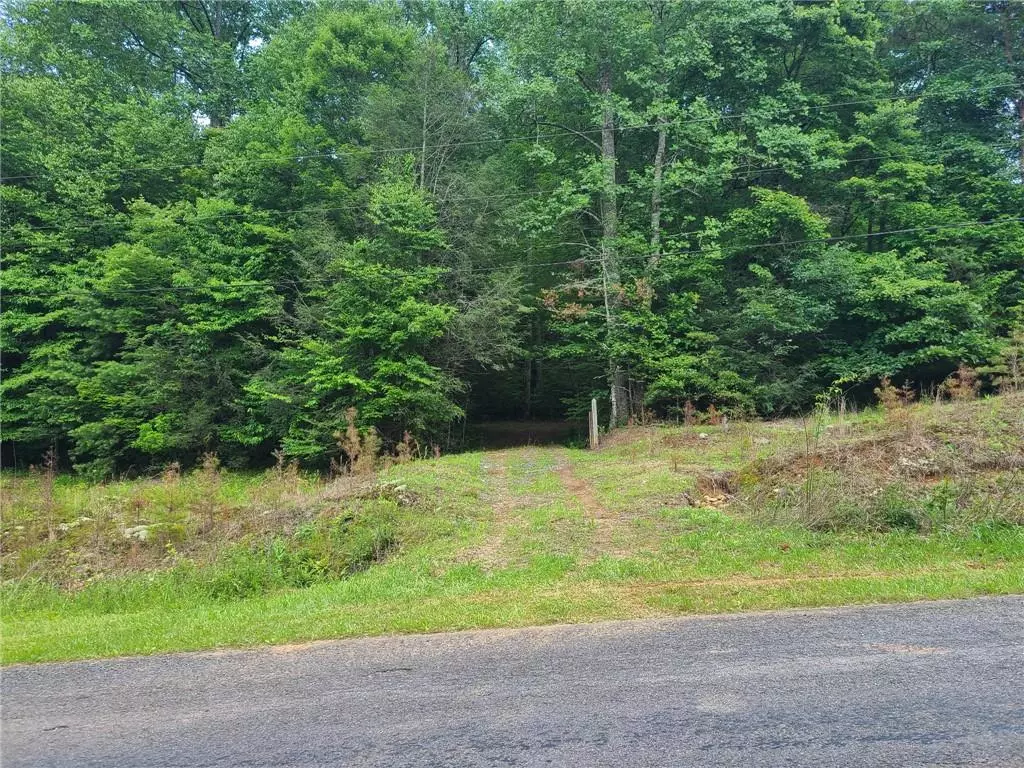 Ellijay, GA 30536,0 Big Creek RD