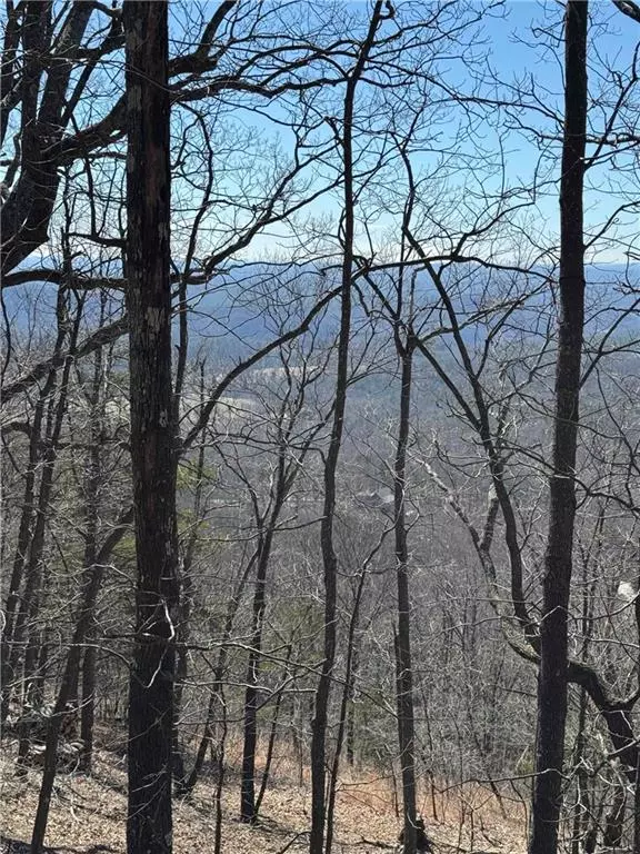 Big Canoe, GA 30143,7349 Starlight LN