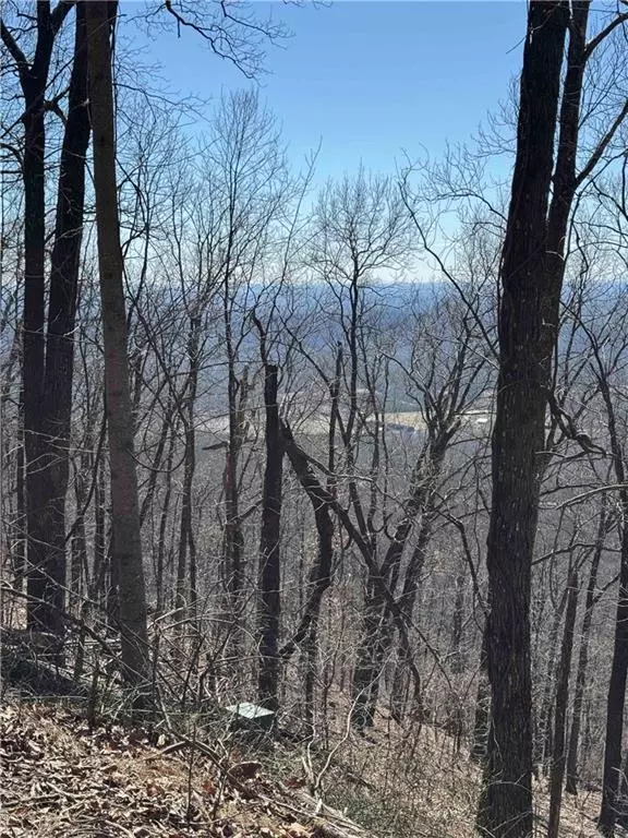 Big Canoe, GA 30143,7349 Starlight LN