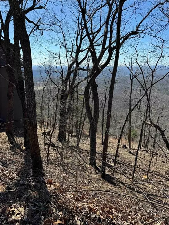 Big Canoe, GA 30143,7349 Starlight LN