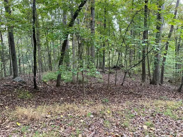 Hoschton, GA 30548,399 Buck TRL