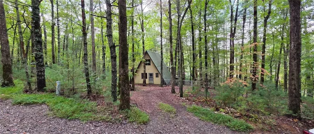 3 Mountain Lake DR, Blue Ridge, GA 30513