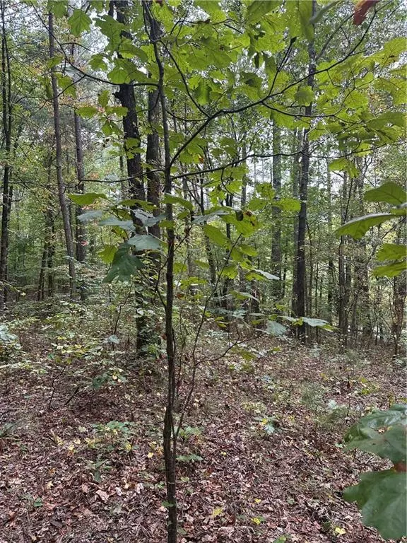 Waleska, GA 30183,3826 Salacoa-Tract C
