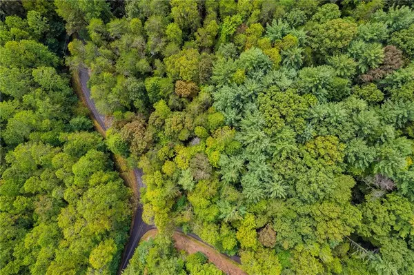 Ellijay, GA 30540,695 Satsuma CT