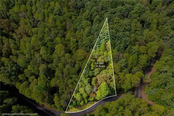 Ellijay, GA 30540,695 Satsuma CT