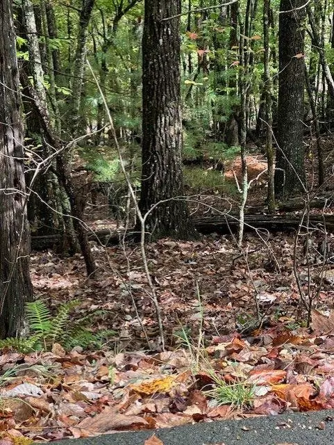 Blairsville, GA 30512,0 Brumby Run