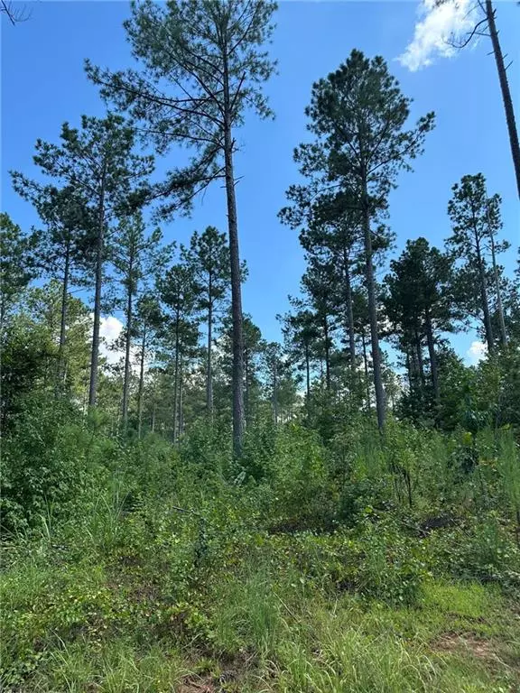 Good Hope, GA 30650,2470 Fears RD