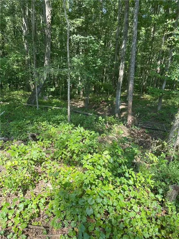 Good Hope, GA 30650,2470 Fears RD