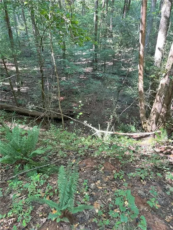 Good Hope, GA 30650,2470 Fears RD