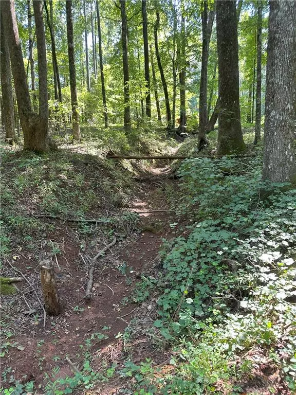 Good Hope, GA 30650,2470 Fears RD
