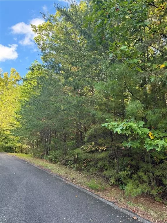 Big Canoe, GA 30143,5566 Red Fox LN