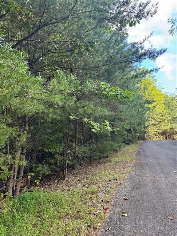 Big Canoe, GA 30143,5566 Red Fox LN