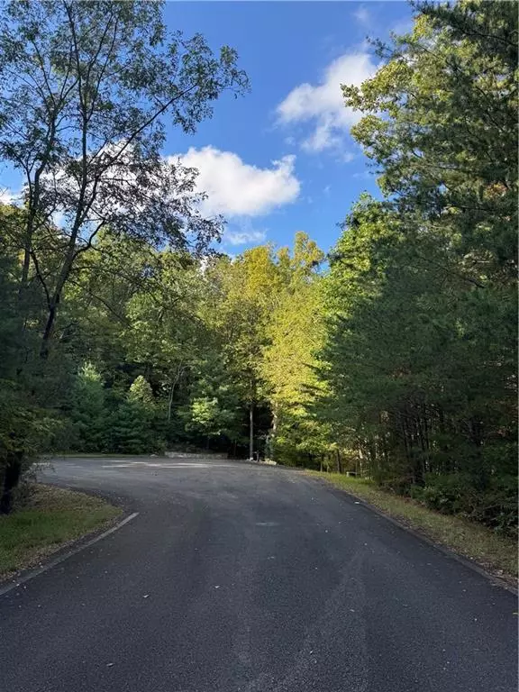 Big Canoe, GA 30143,5566 Red Fox LN