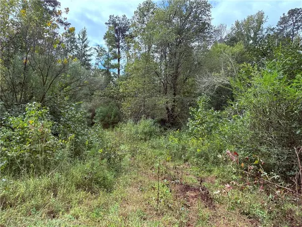 80 Sanders Creek RD, Tallapoosa, GA 30176