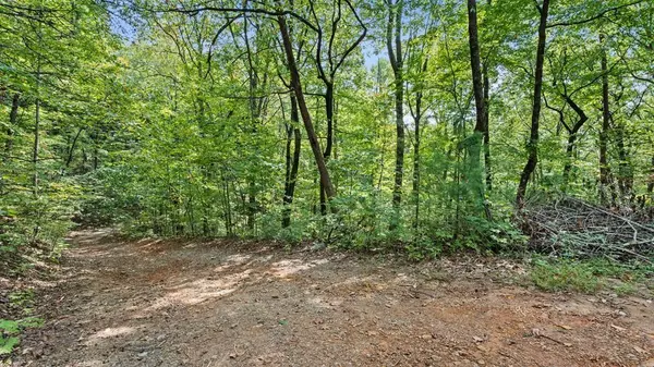 23 B Lake View RD, Cherry Log, GA 30522