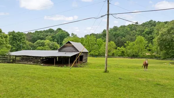 Ellijay, GA 30536,83 Licklog RD