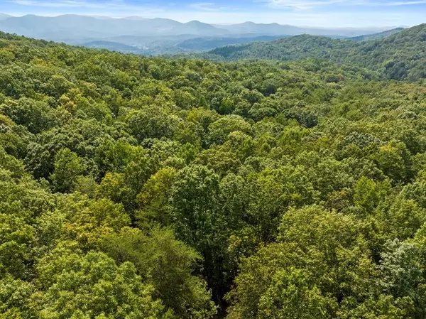 Cherry Log, GA 30522,23 C Lake View RD