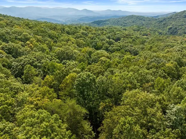 23 C,B Double Knob RD, Cherry Log, GA 30522