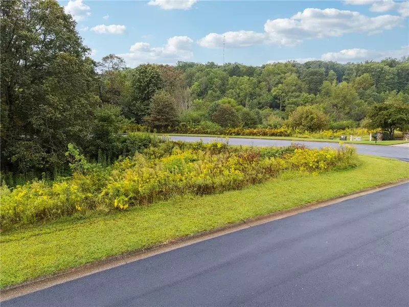 1344 Blue Grass CT, Demorest, GA 30535