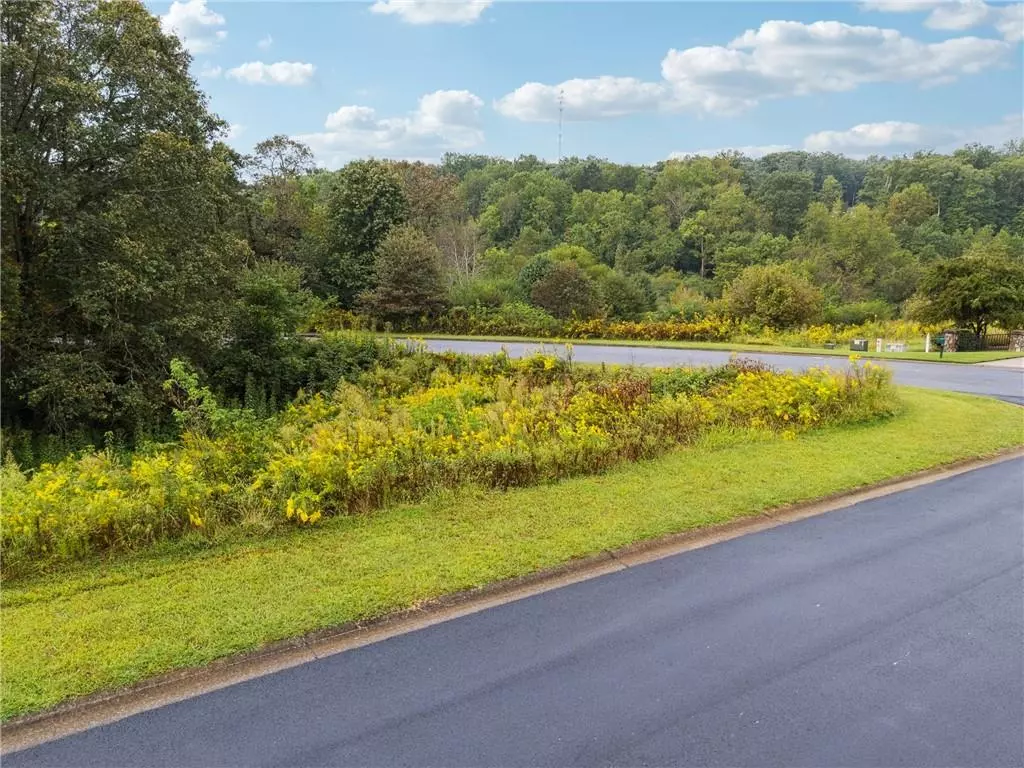 Demorest, GA 30535,1344 Blue Grass CT