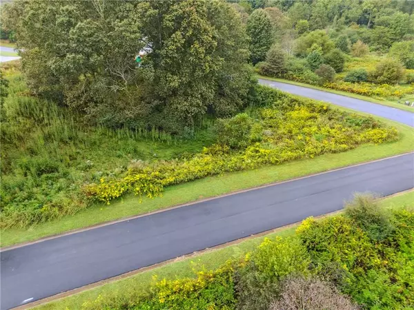 Demorest, GA 30535,1344 Blue Grass CT