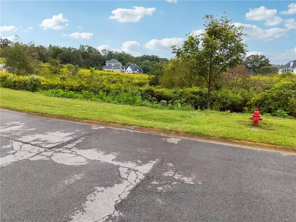 Demorest, GA 30535,0 Sweetgrass DR