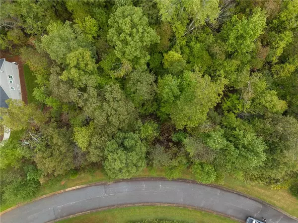 Demorest, GA 30535,0 St Augustine CT