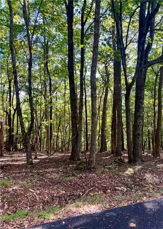 Jasper, GA 30143,402 South View TRL