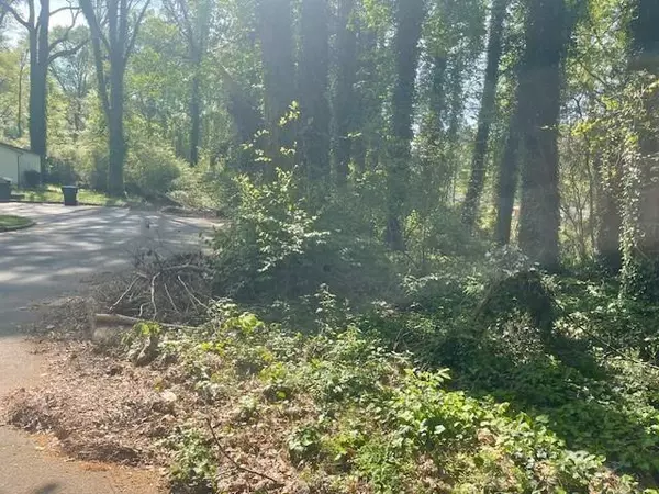 Atlanta, GA 30315,0 McKay DR SE