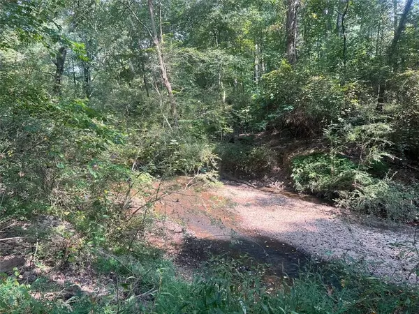 Marietta, GA 30008,0 BURFORDI