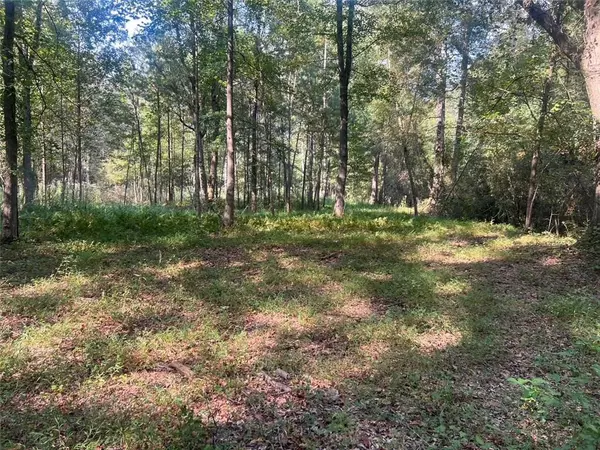 Marietta, GA 30008,0 BURFORDI DR