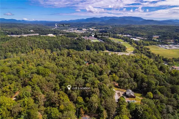 Ellijay, GA 30540,75 Huron CIR