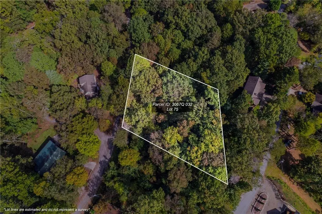 Ellijay, GA 30540,75 Huron CIR