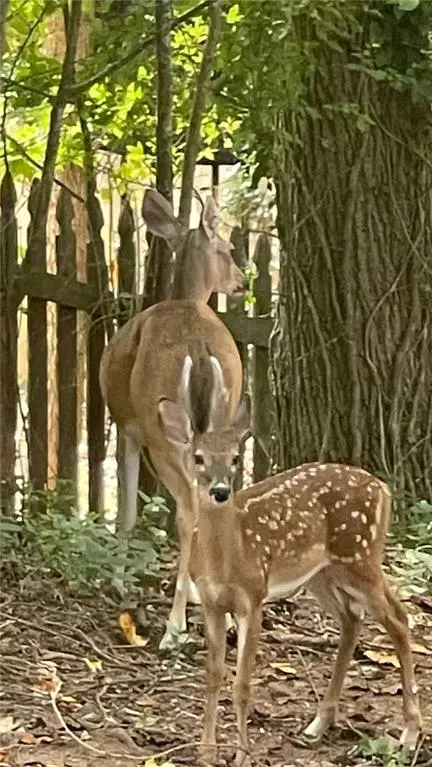 Woodstock, GA 30189,4075 Dream Catcher DR