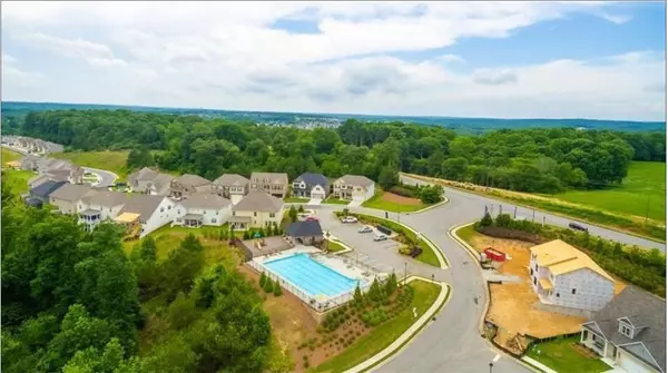 Braselton, GA 30517,43 Yaupon TRL