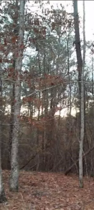 Greensboro, GA 30043,2771 Carey Station Rd ST