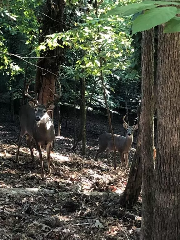 Roswell, GA 30076,8665 Steeplechase DR