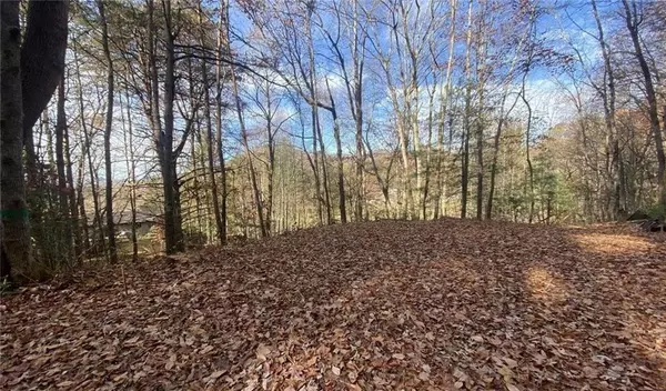 Hiawassee, GA 30546,1 BAREFOOT HILLS