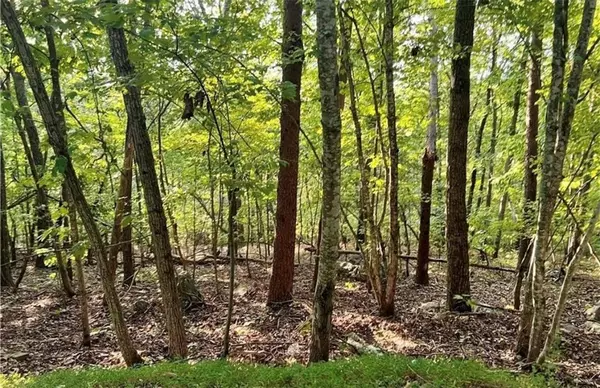 Jasper, GA 30143,0 Mulberry CIR