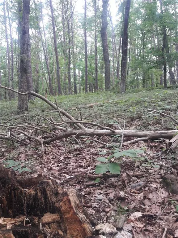 Jasper, GA 30143,0 Mulberry CIR