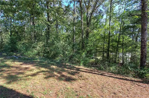 Cartersville, GA 30121,11 Meadowview CIR