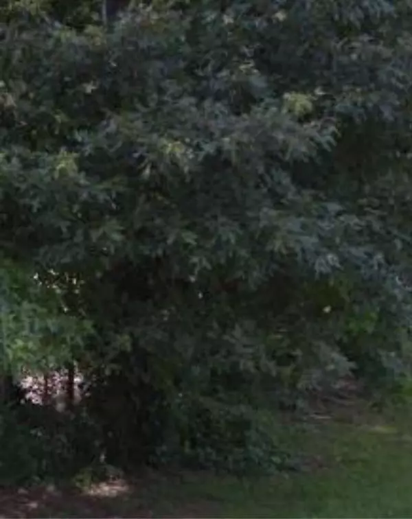 Hampton, GA 30228,11005 Regents CT