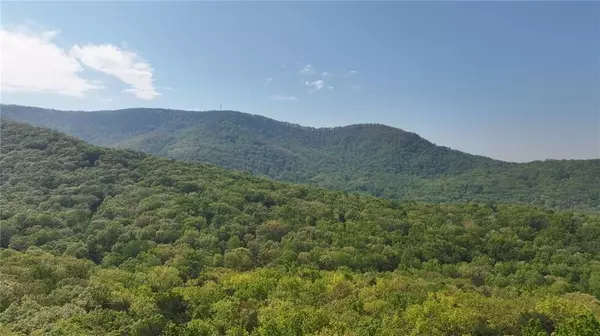 Jasper, GA 30143,4428 Bee Tree Ridge DR