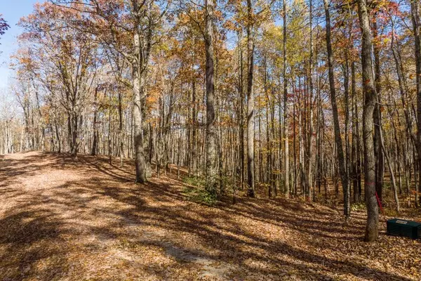 Ellijay, GA 30536,19R Settlement TRL