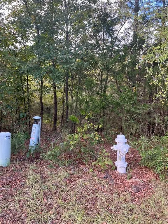 4103 Sierra CT, Stockbridge, GA 30281