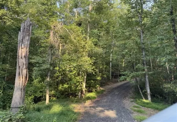 Dahlonega, GA 30533,1228 Winters Mountain RD