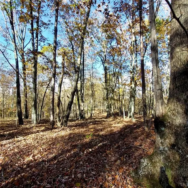 Buchanan, GA 30113,0 McKibben RD